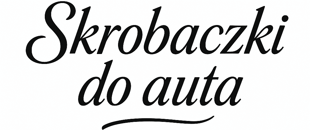 Skrobaczki do auta, samochodu, szyb!